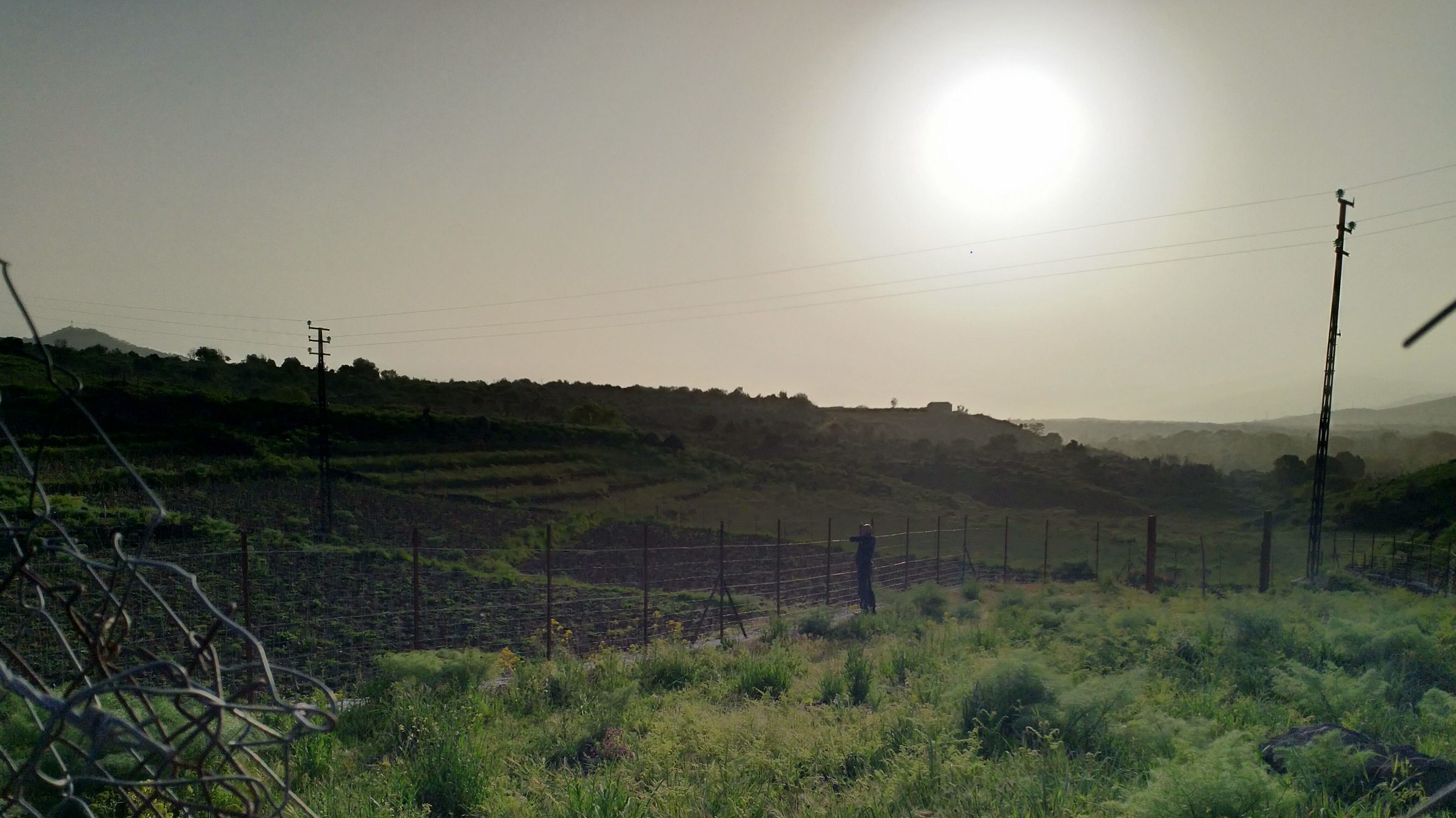 Le terrazze della vigna controluce, sul versante nord dell'Etna